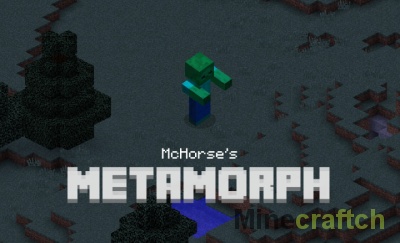 MetaMorph — мод на превращение в мобов 1.12.2/1.11.2/1.10.2/1.9.4