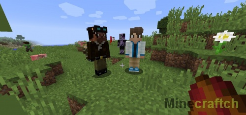 ps3 minecraft skins free humen and mob mixed