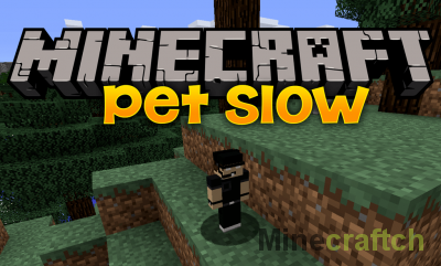 Pet Slow Mod [1.12.2]