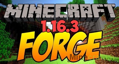 Minecraft Forge [1.16.3]