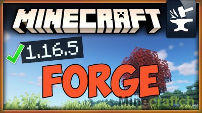 Minecraft Forge [1.16.5]