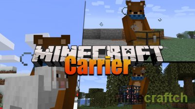 Carrier Mod [1.16.5]
