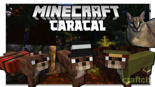 Мод на каракала Caracal 1.16.5/1.17.1 – Моды для Minecraft – Minecraftch