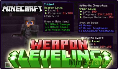 Weapon Leveling Mod [1.18.2]