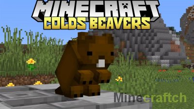 Colds Beavers Mod [1.16.5]