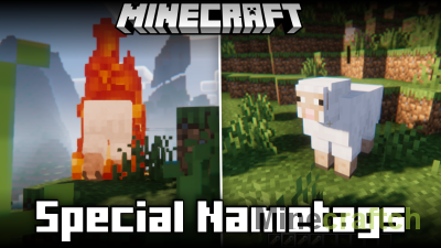 Special Nametags Mod [1.21.10]