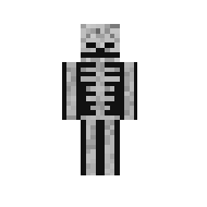 Dark-skeleton