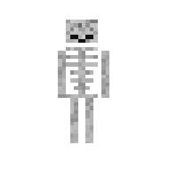 Endo skeleton