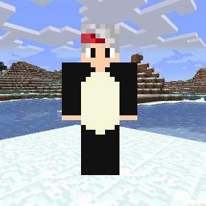 snowy_i_sir