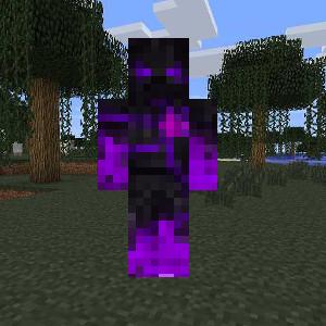 Ender Dragon Steve