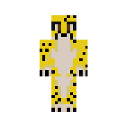 Cheetah v1.3