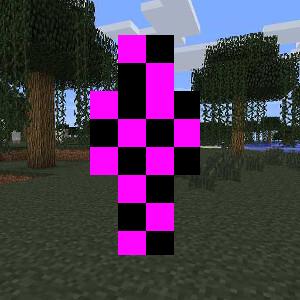 Entity Glitched