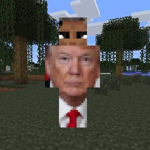 TrumpBema