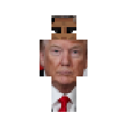 TrumpBema