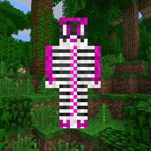 ender skelet