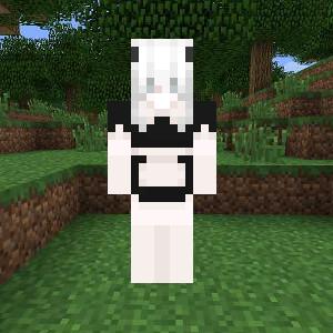maid Skripka