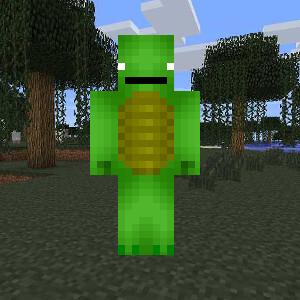 TurtleDeity Herobrine