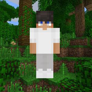 vadmine2