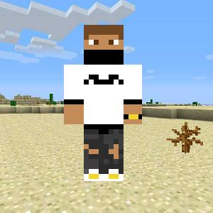 Domzin 1