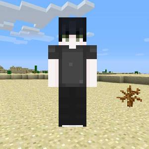 Domzin ofic 2.0