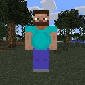 I am Steve