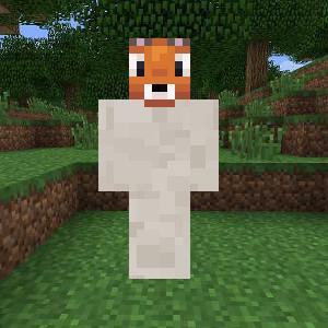 NeoForge skin