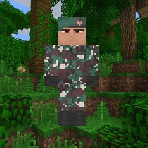 TNI Woodland Indonesia