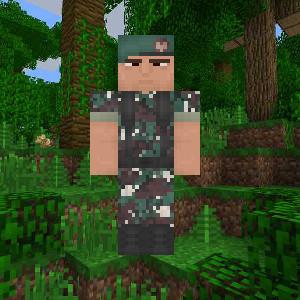 TNI Soldier's Indonesian