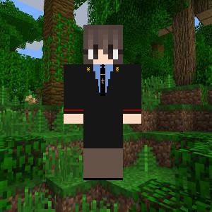 Полковник полиции