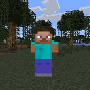 Стив, которого передавила машина