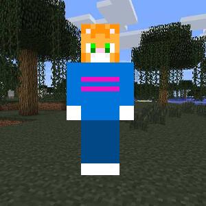 Кот в свитере