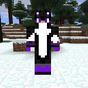 Шискас с перчатками ботинками