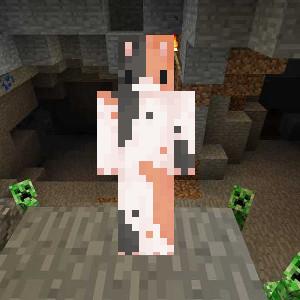 Просто котик