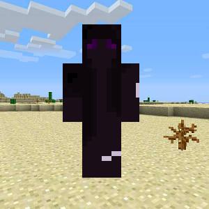 EnderSkif