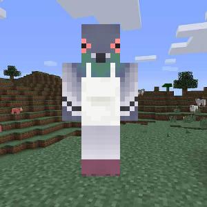 sigeon