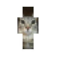 Zazu cat