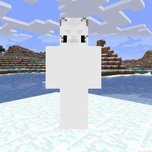 kitten white 3