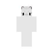 kitten white 3