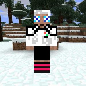 ISAGI WC AWK